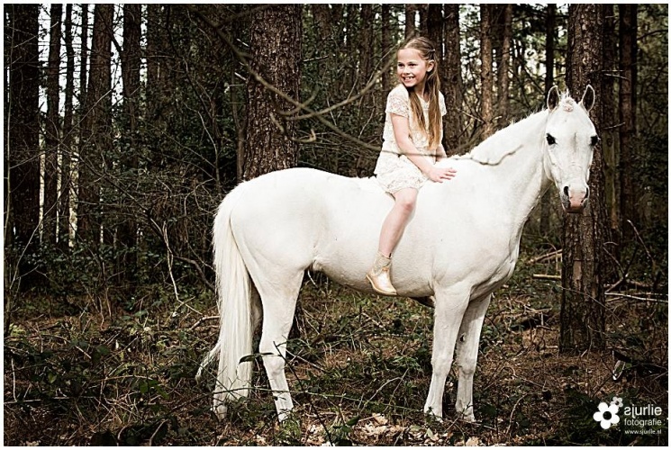 Communiefotograaf in België: reportage met pony en hond Maaseik