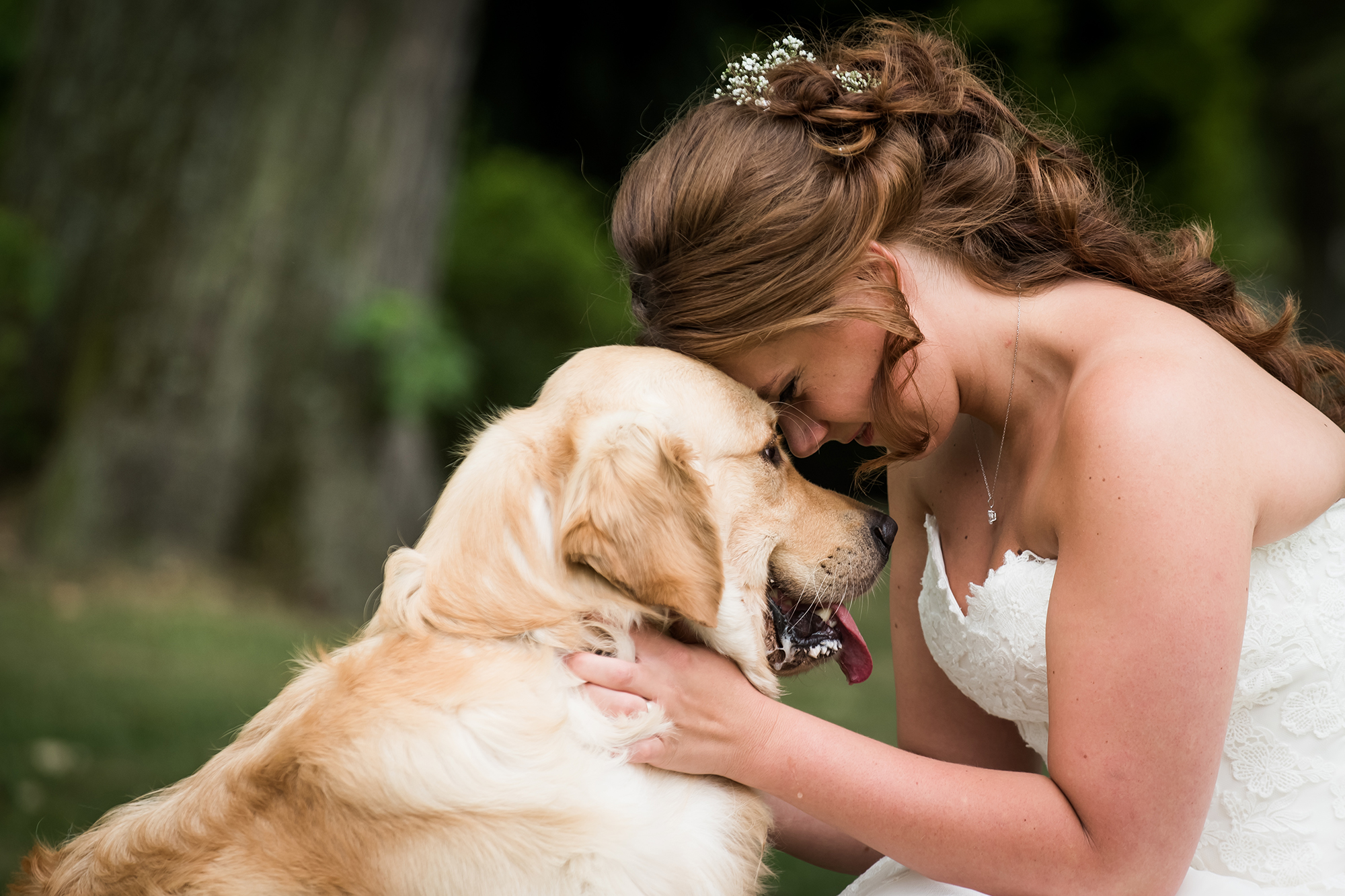 documentaire trouwfotograaf: bruid knuffelt haar hond