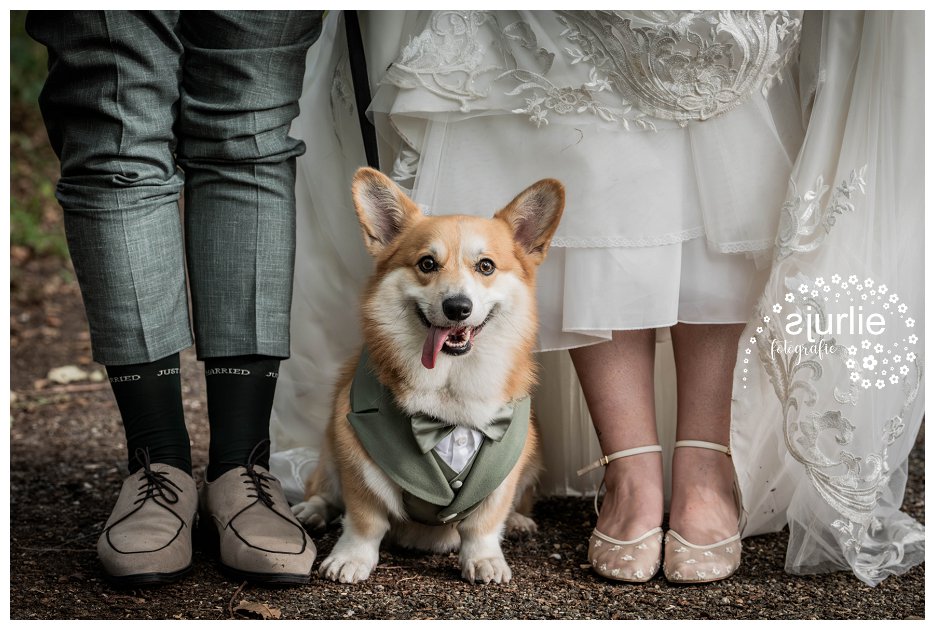 voeten van bruidspaar met hond met mini trouwpak